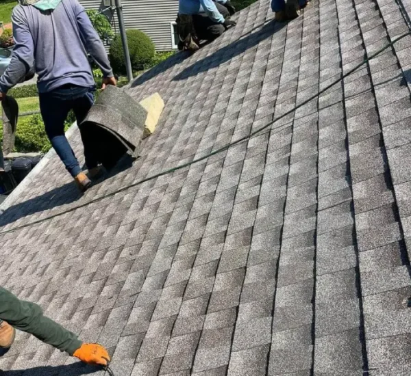 Why Choose Us as Your Roof Replacement Company in Spartanburg